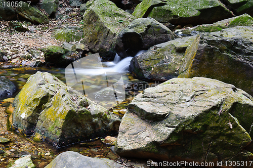 Image of Rock