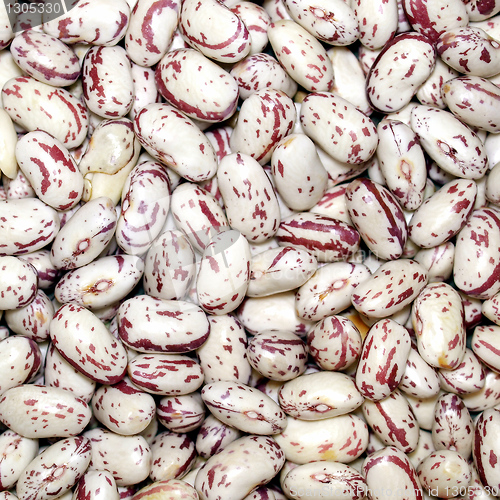 Image of Beans salad