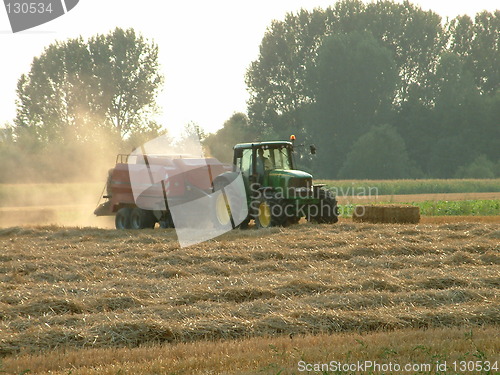 Image of Field dust