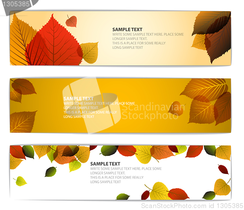 Image of Fresh natural fall vector horizontal banners with leafs 