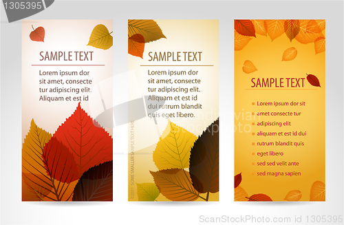 Image of Fresh natural fall vector vertical banners with leafs 