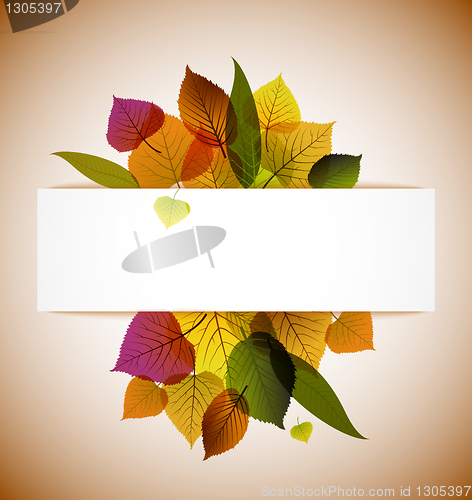 Image of Autumn leafs abstract background 