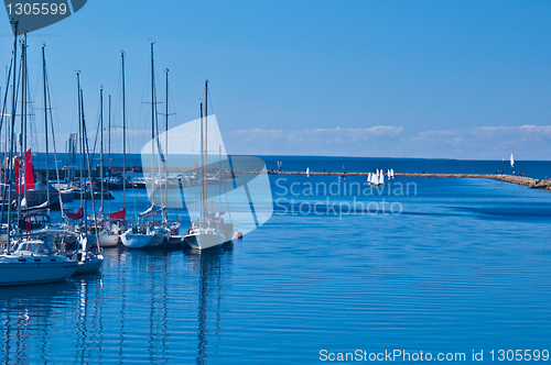 Image of Marina with sailboats