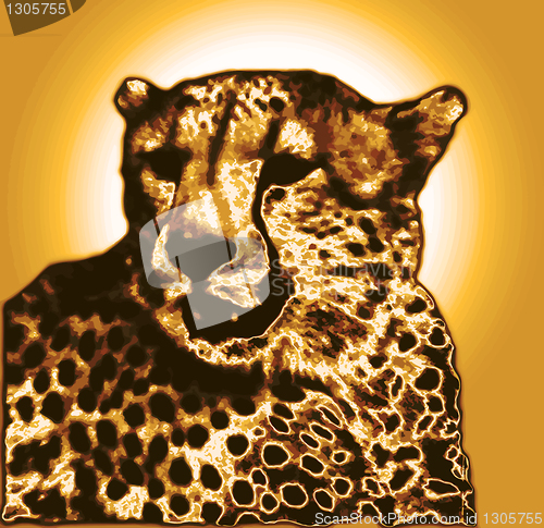Image of Isolated Cheetah face drawing in gold brown gradient colors