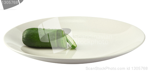 Image of fresh green cucumber chopped on white plate