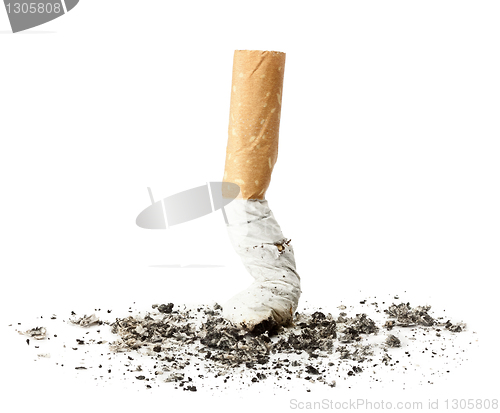 Image of Cigarette butt