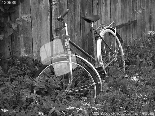 Image of Bicycle
