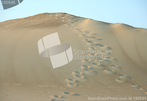 Image of sand dune