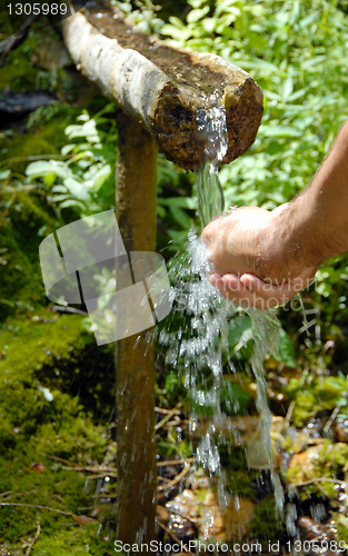 Image of Washing hands