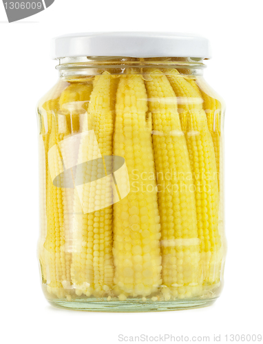 Image of corn ears