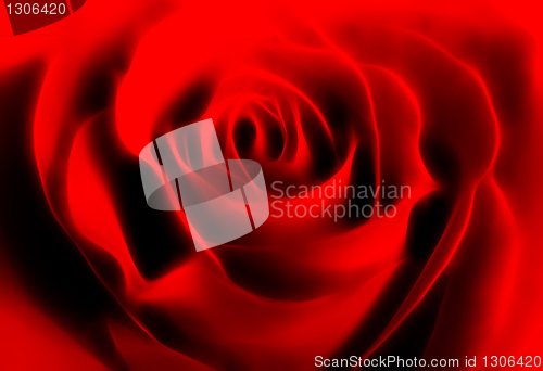 Image of abstract rose background