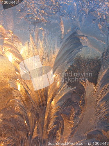 Image of ice pattern and sunlight