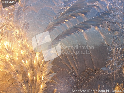 Image of ice pattern and sunlight