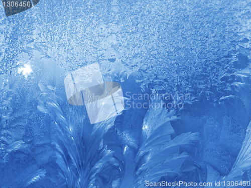 Image of ice pattern and sunlight