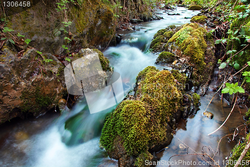 Image of Forest waterfall