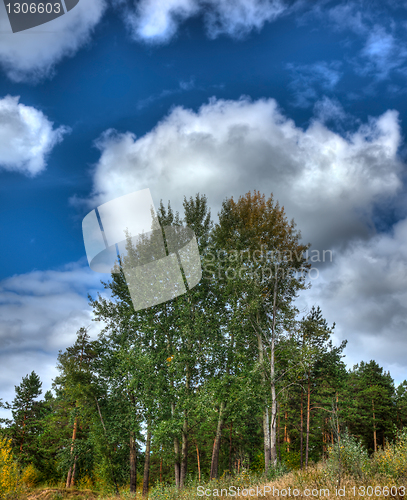 Image of Autumn landscape.