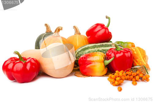 Image of Autumn harvest on white background 