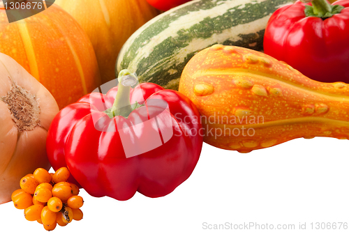 Image of Autumn harvest on isolated white