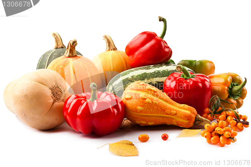 Image of Autumn harvest on white background 