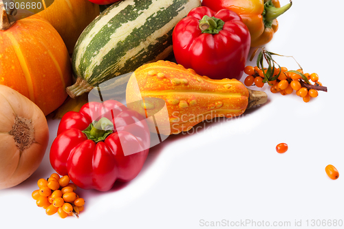 Image of Autumn harvest on white background 