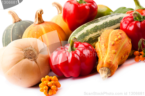 Image of Autumn harvest on white background 