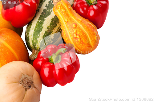 Image of Autumn harvest on isolated white