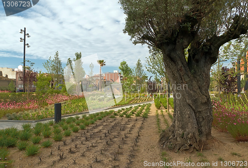 Image of Badalona Pompeu Fabra Gardens