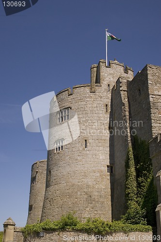 Image of Castle turret