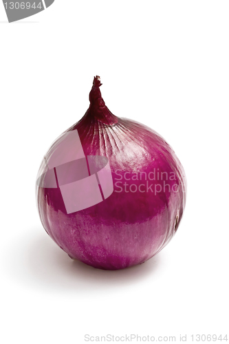 Image of Red onion