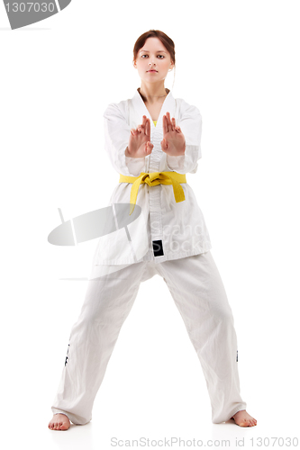 Image of young sexy women in a karate pose