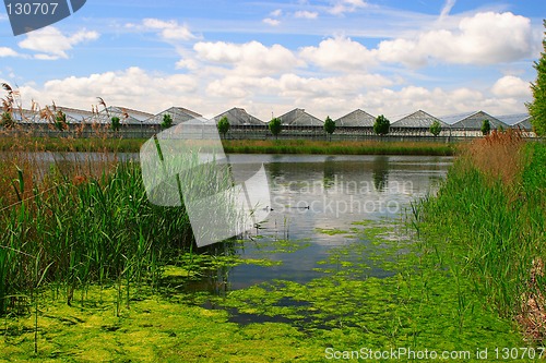 Image of Dutch landscape