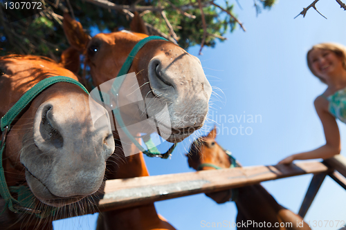 Image of horse and blond girl in paddock on summers