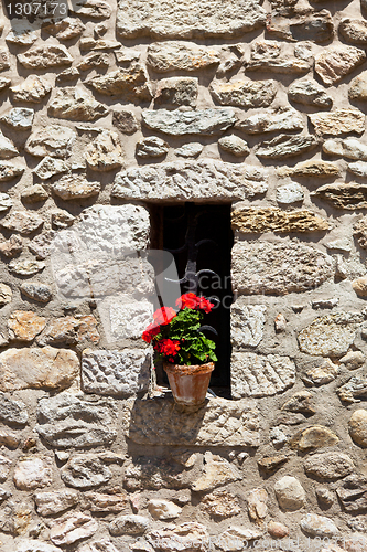 Image of Window in an old wall with flower
