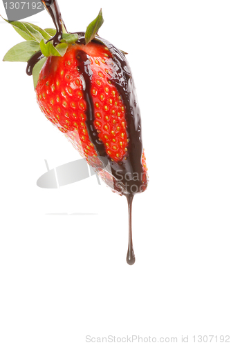 Image of Isolated strawberry with chocolate sauce