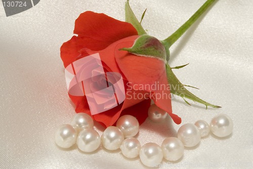 Image of Rose and pearls