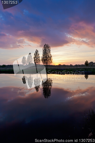 Image of Leafless tree near lake on sunset