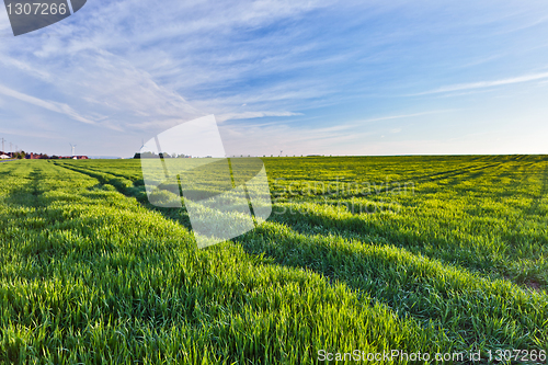 Image of A summer landscape