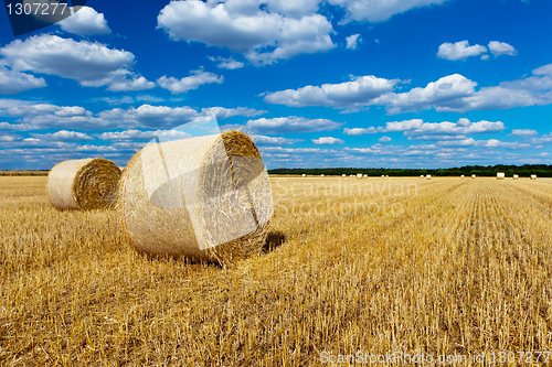 Image of straw bales in a field with blue and white sky