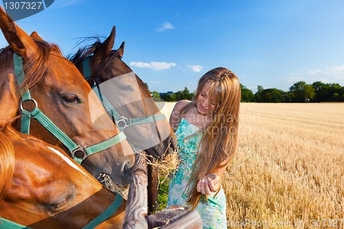 Image of horse and blond girl in paddock on summers