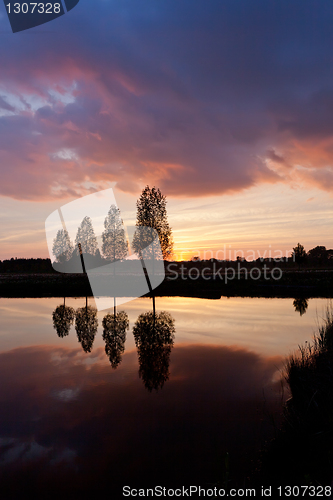 Image of Leafless tree near lake on sunset