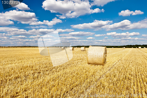 Image of straw bales in a field with blue and white sky