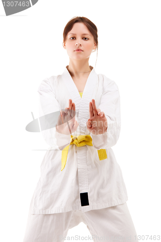 Image of young sexy women in a karate pose