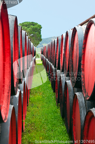 Image of wine barrels in a winery, France