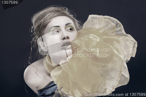 Image of vinage portrait of beautiful woman