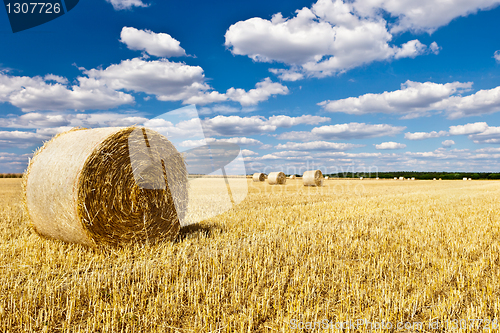 Image of straw bales in a field with blue and white sky