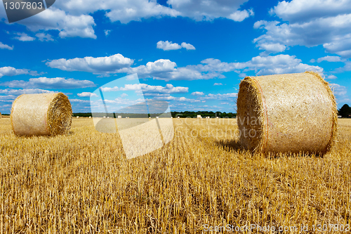 Image of straw bales in a field with blue and white sky