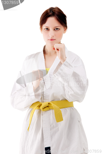 Image of young sexy women in a karate pose