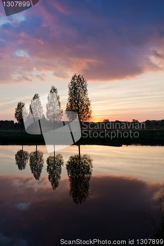 Image of Leafless tree near lake on sunset