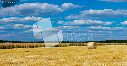 Image of straw bales in a field with blue and white sky