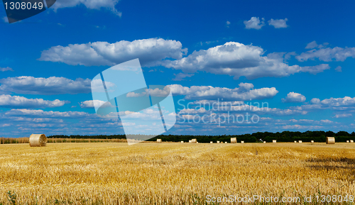Image of straw bales in a field with blue and white sky
